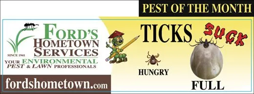 Professional lawn mowing service for outdoor upgrades in Worcester, MA by Ford's Hometown Services