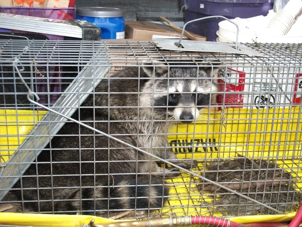 Local outdoor landscaping experts serving Worcester, MA - Ford's Hometown Services