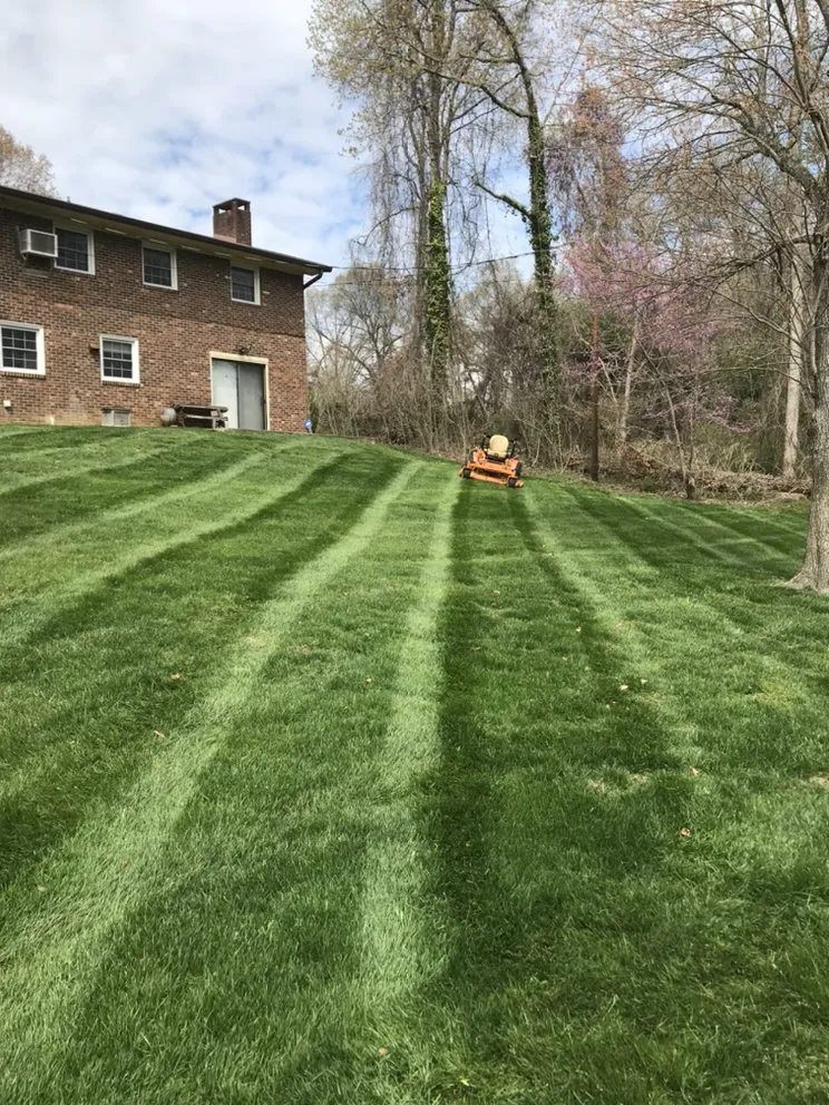 Local yard maintenance for residential properties across High Point, NC - Ford's Lawn Service