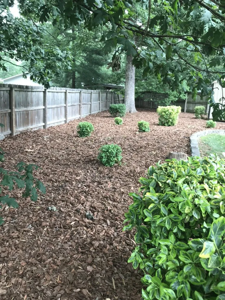 Trusted residential landscaping in High Point, NC by Ford's Lawn Service