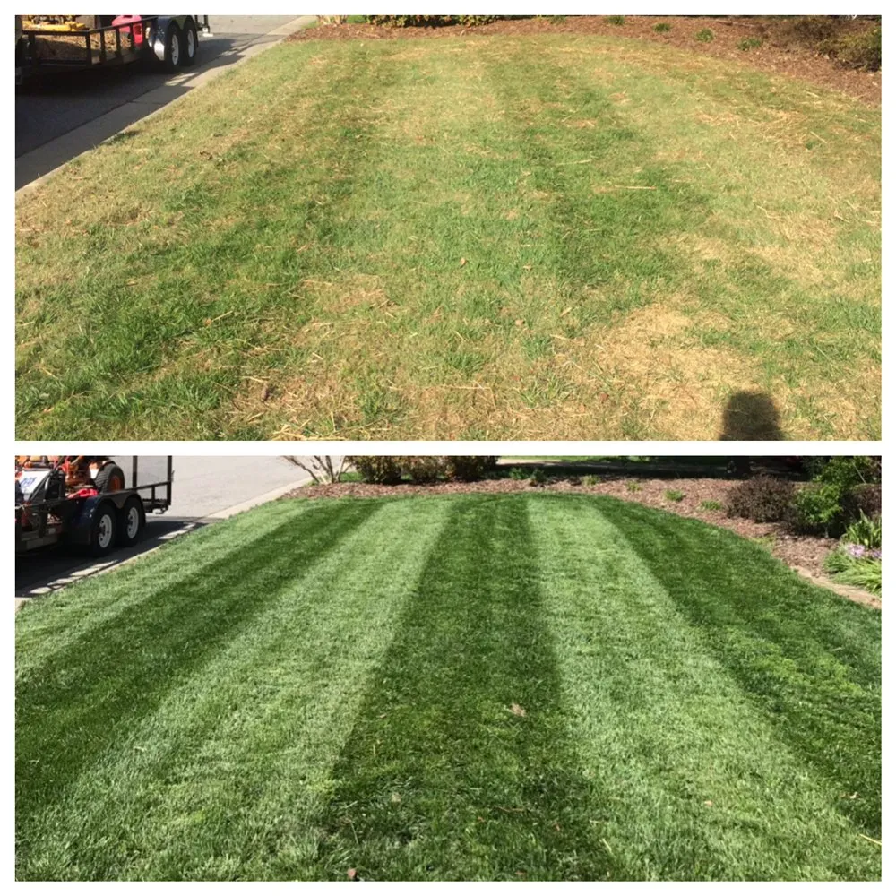 Top-rated landscape installation experts serving High Point, NC - Ford's Lawn Service