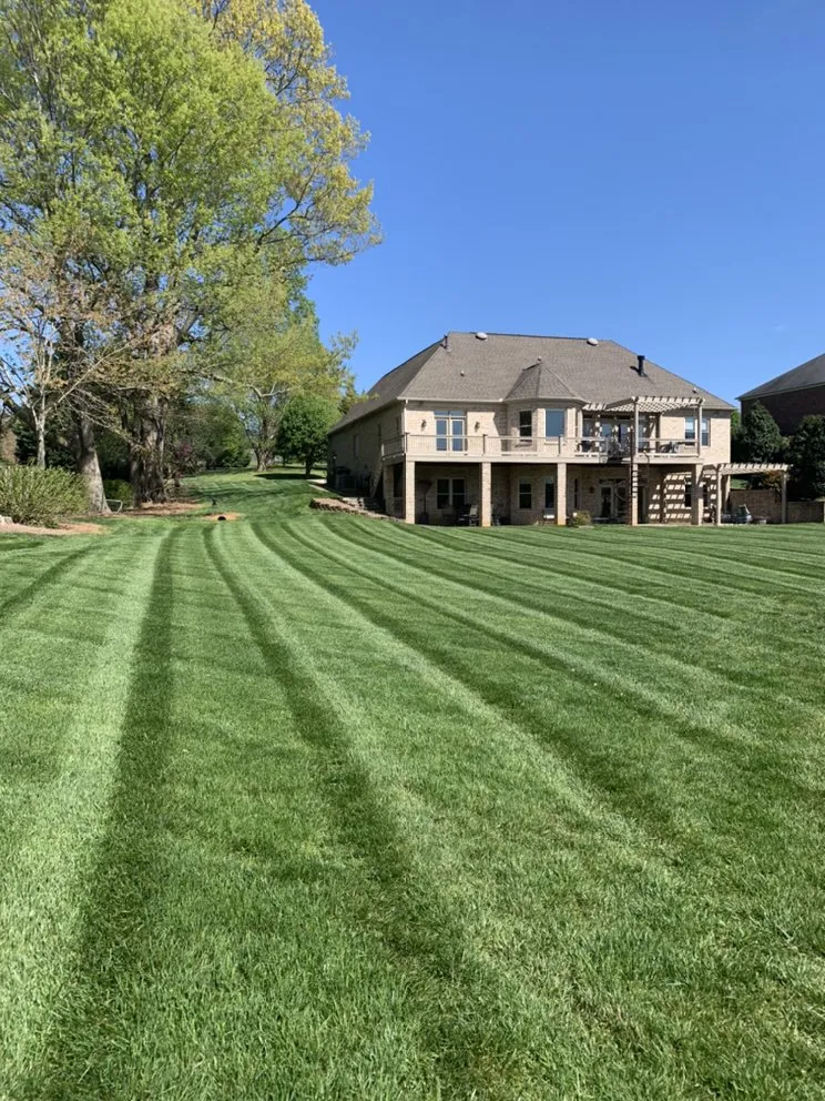 Custom lawn care service experts serving High Point, NC - Ford's Lawn Service