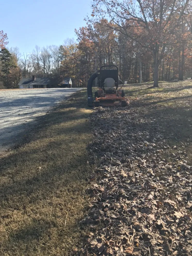 Custom yard cleanup service in High Point, NC by Ford's Lawn Service