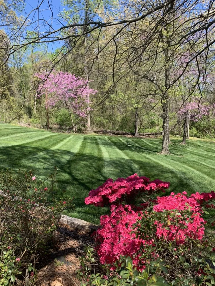 Reliable landscape installation in High Point, NC - Ford's Lawn Service