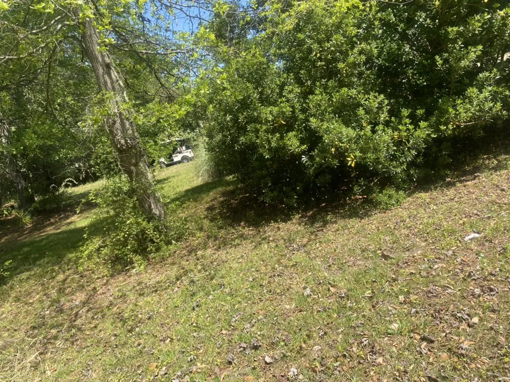 Top-rated yard maintenance with custom design across Little River, SC - Fords Lawn Service