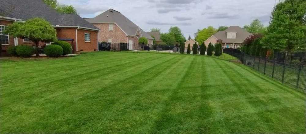 Reliable yard maintenance in Murfreesboro, TN by Ford's Perfect Lawns