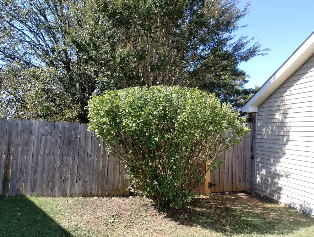 Expert landscaping services for year-round maintenance across Murfreesboro, TN - Ford's Perfect Lawns