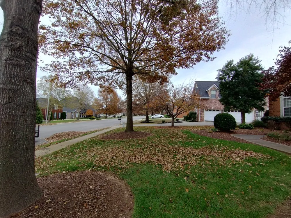 Affordable lawn mowing service for homes in Murfreesboro, TN by Ford's Perfect Lawns