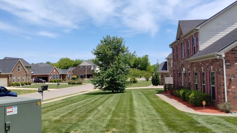 Local yard maintenance in Murfreesboro, TN - Ford's Perfect Lawns