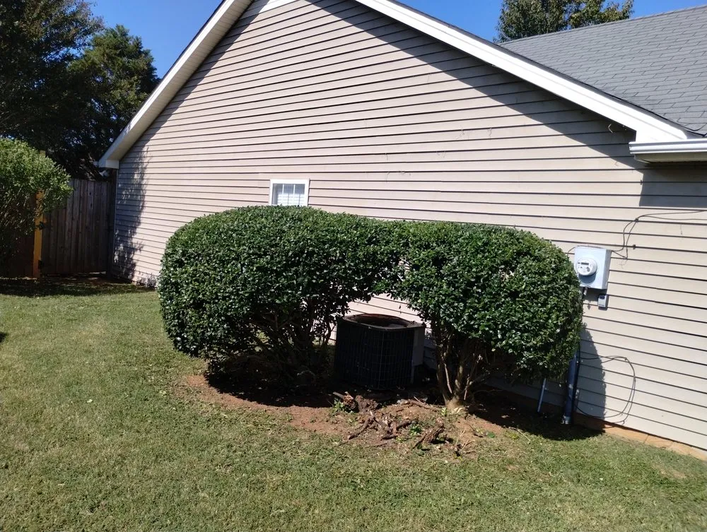 Trusted yard cleanup service in Murfreesboro, TN by Ford's Perfect Lawns