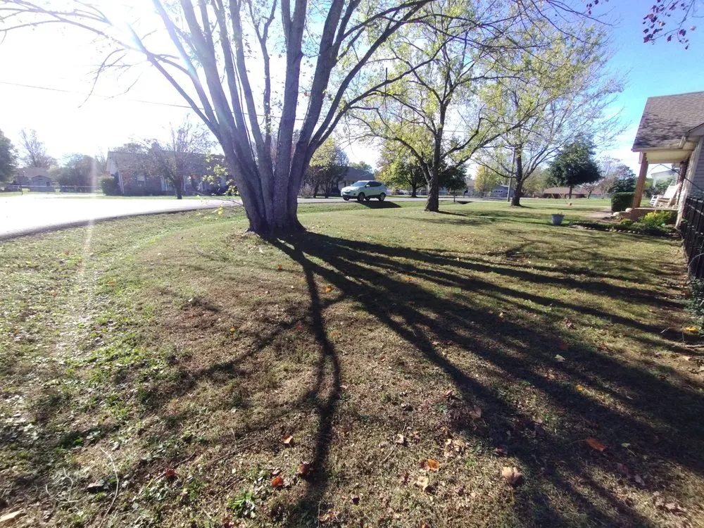 Top-rated lawn mowing service in Murfreesboro, TN by Ford's Perfect Lawns