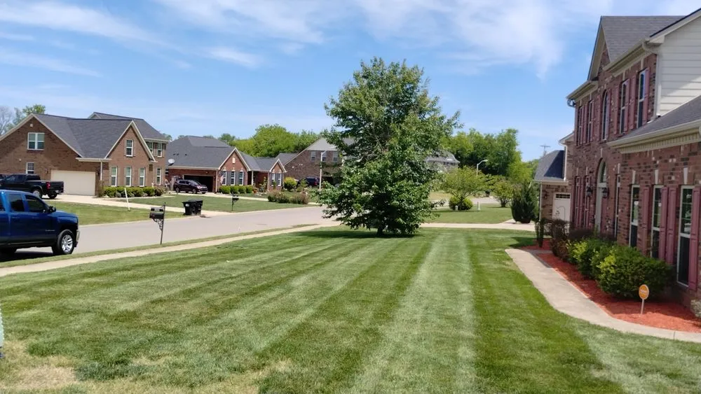 Trusted lawn mowing service experts serving Murfreesboro, TN - Ford's Perfect Lawns
