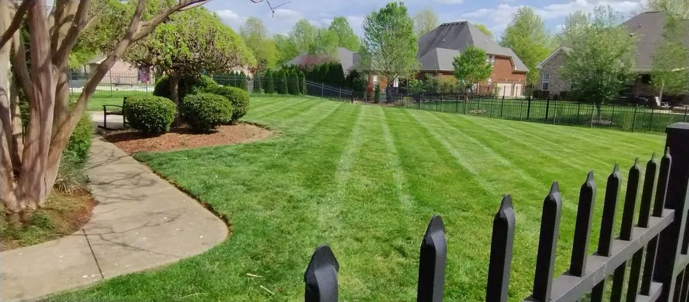 Custom yard cleanup service in Murfreesboro, TN - Ford's Perfect Lawns