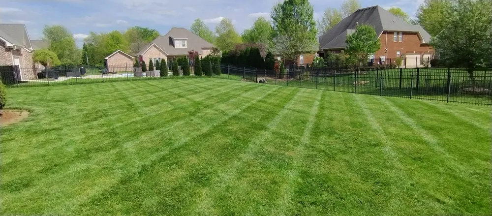 Expert yard maintenance in Murfreesboro, TN by Ford's Perfect Lawns