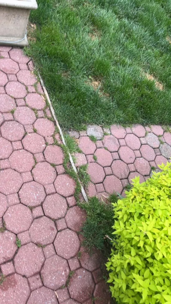 Top-rated outdoor landscaping experts serving West Chester, PA - Ford’s Pressure Washing