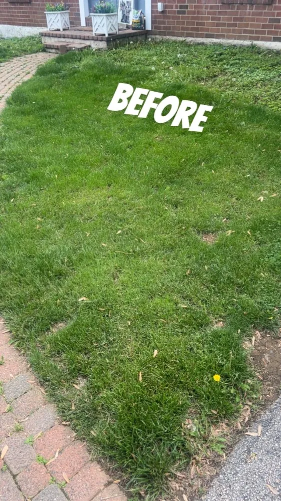 Professional residential landscaping in West Chester, PA - Ford’s Pressure Washing