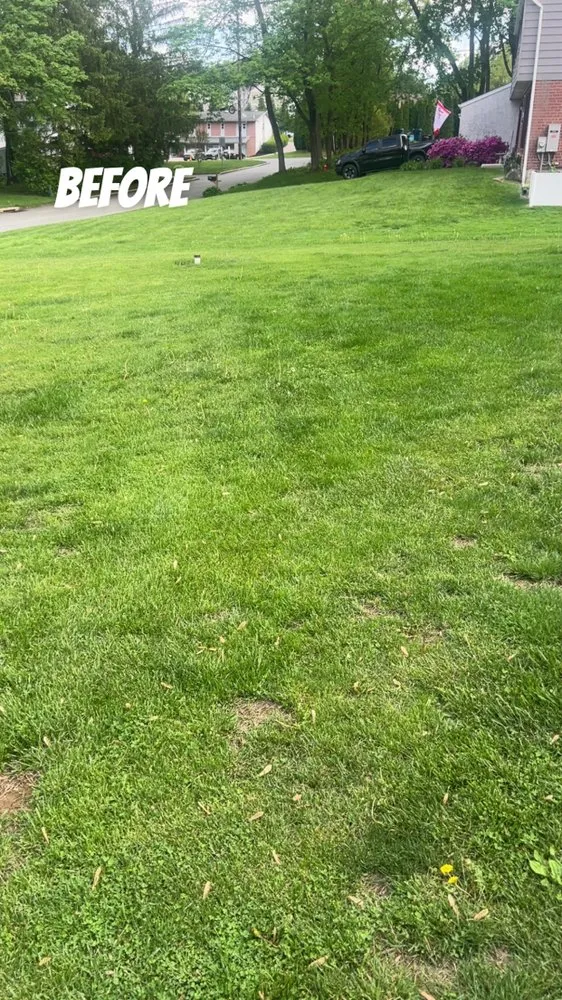 Top-rated lawn care service in West Chester, PA - Ford’s Pressure Washing