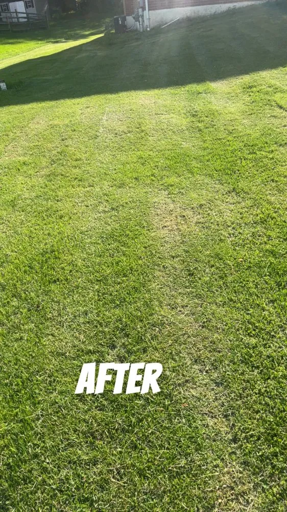 Top-rated lawn care service near you across West Chester, PA - Ford’s Pressure Washing