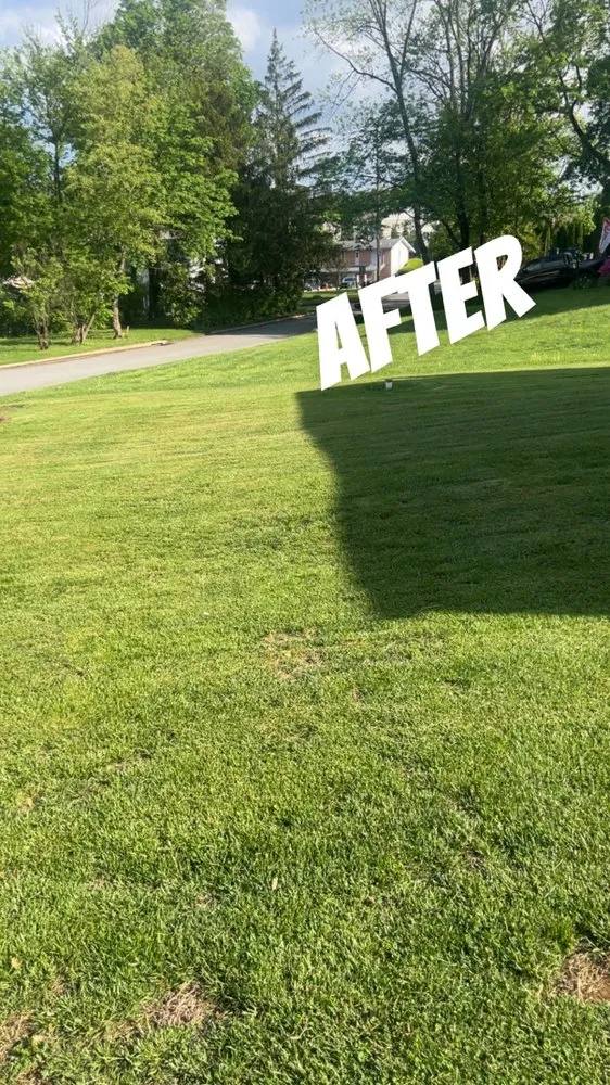 Reliable lawn mowing service for residential properties in West Chester, PA by Ford’s Pressure Washing