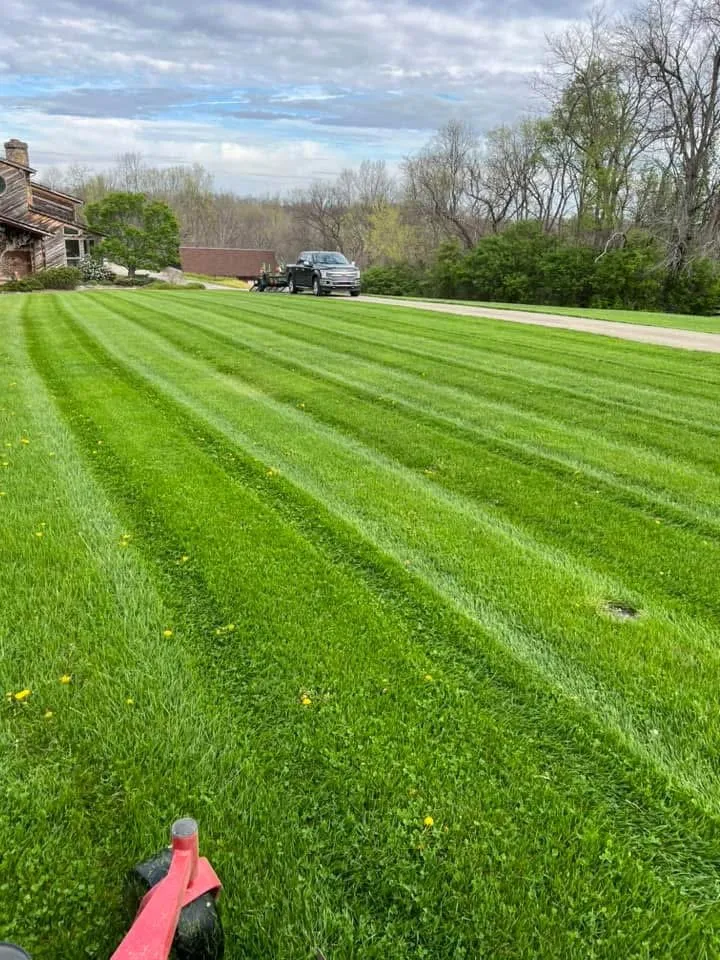 Local yard cleanup service with custom design across North Bend, OH - Fore Lawncare