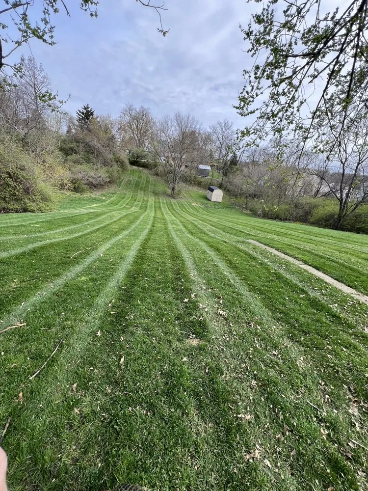 Top-rated outdoor landscaping for year-round maintenance across North Bend, OH - Fore Lawncare