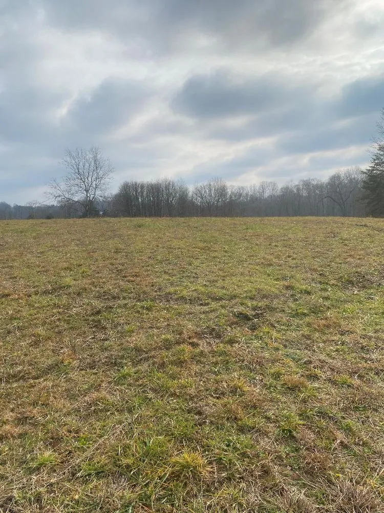 Reliable landscape design for outdoor upgrades in Charleston, WV by Fore Seasons Lawn Care