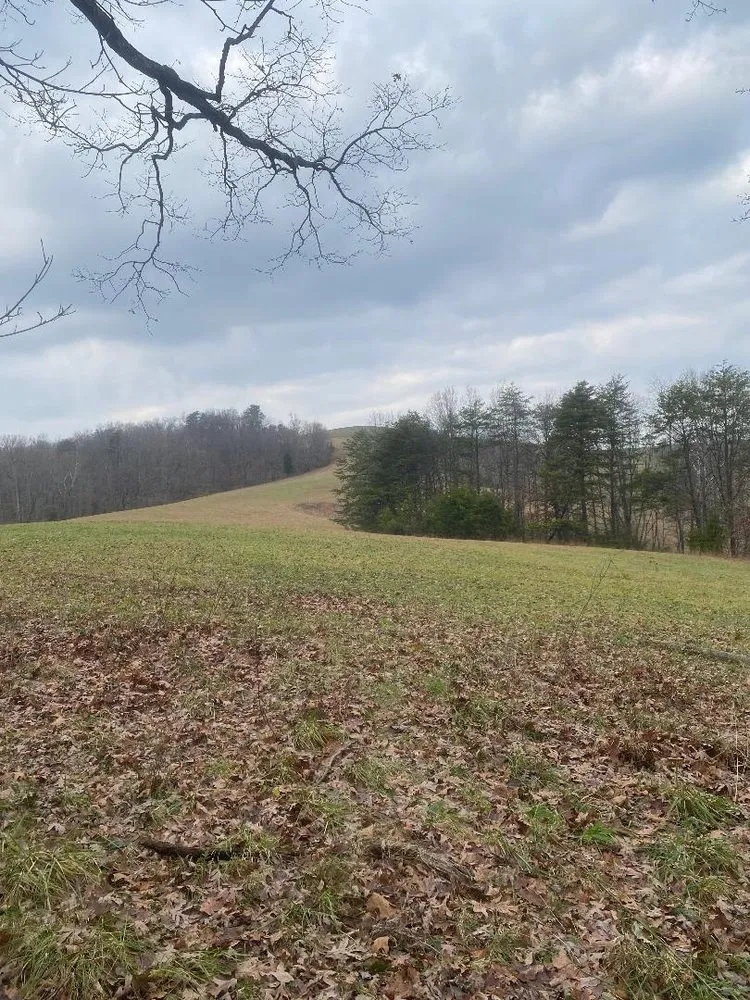 Custom lawn mowing service in Charleston, WV - Fore Seasons Lawn Care