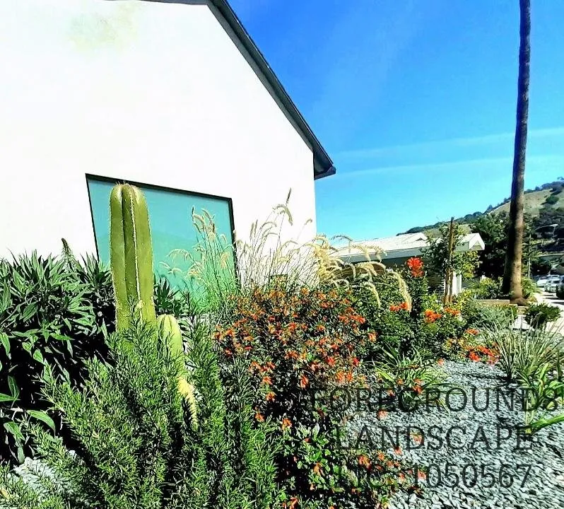 Professional garden landscaping for year-round maintenance in Los Angeles, CA by Foregrounds Landscape