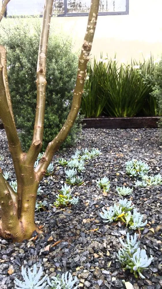 Reliable yard maintenance experts serving Los Angeles, CA - Foregrounds Landscape