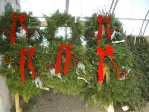 Custom landscape design experts serving Park Rapids, MN - Forest And Floral Garden Center