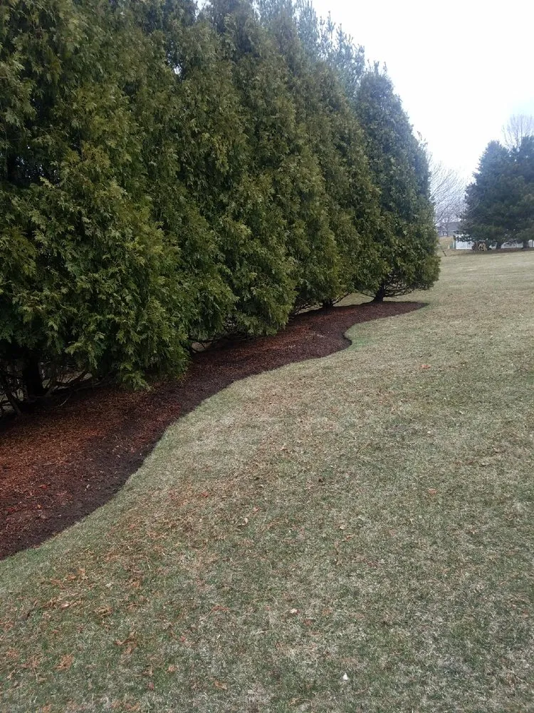 Affordable residential landscaping in Rockford, IL - Forest City Lawn Care