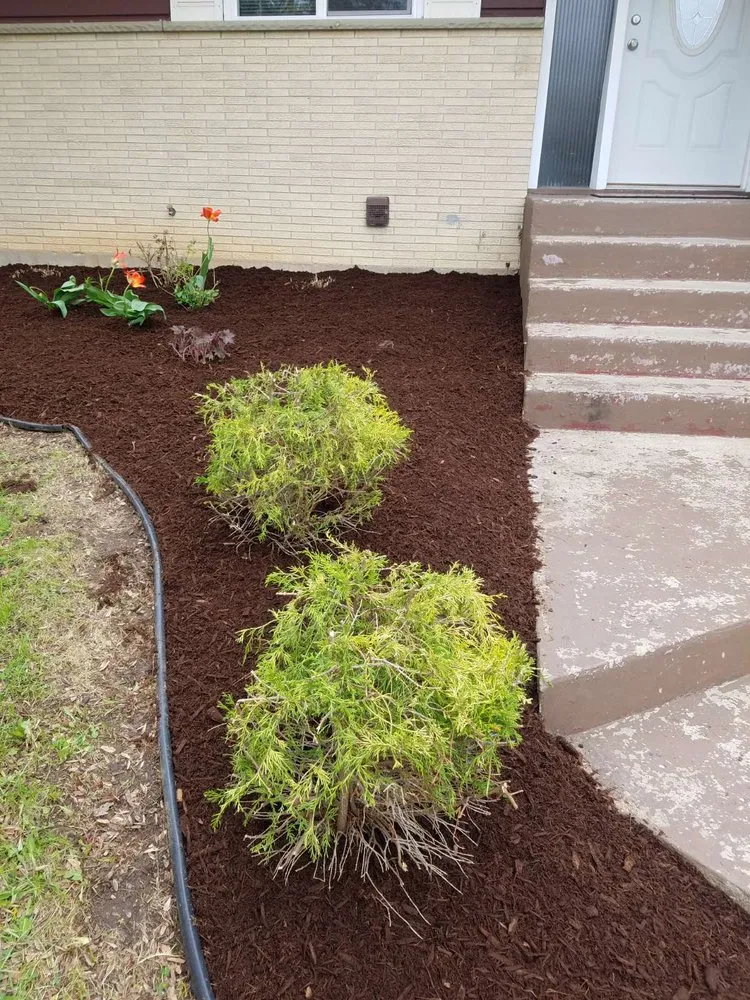 Top-rated yard maintenance for outdoor upgrades across Rockford, IL - Forest City Lawn Care