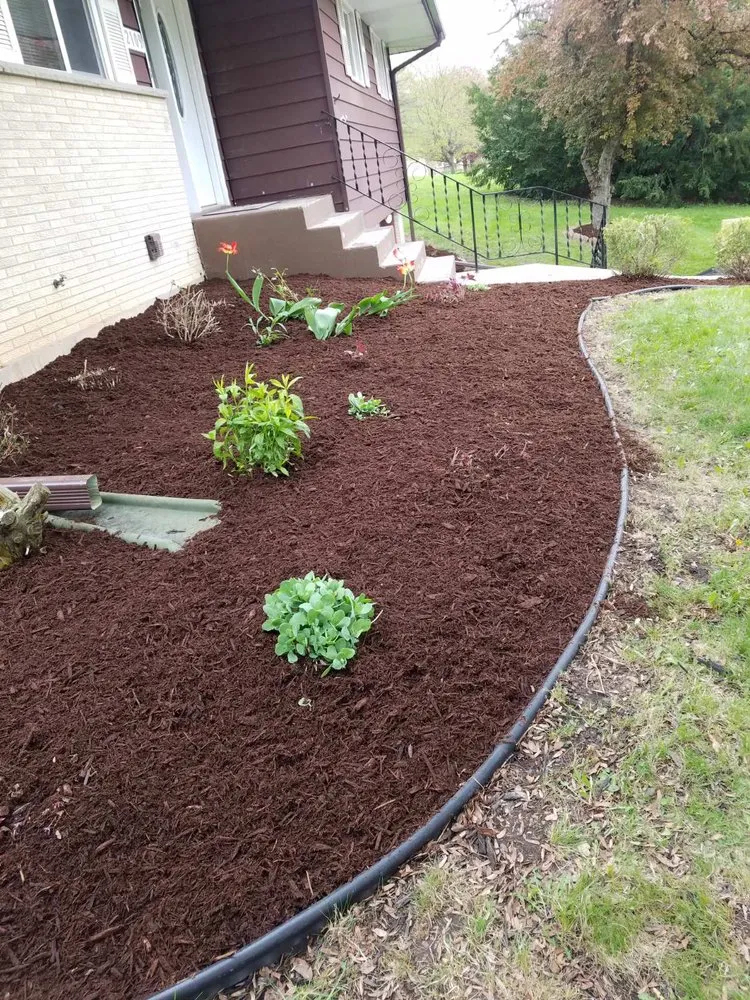 Affordable yard cleanup service near you across Rockford, IL - Forest City Lawn Care