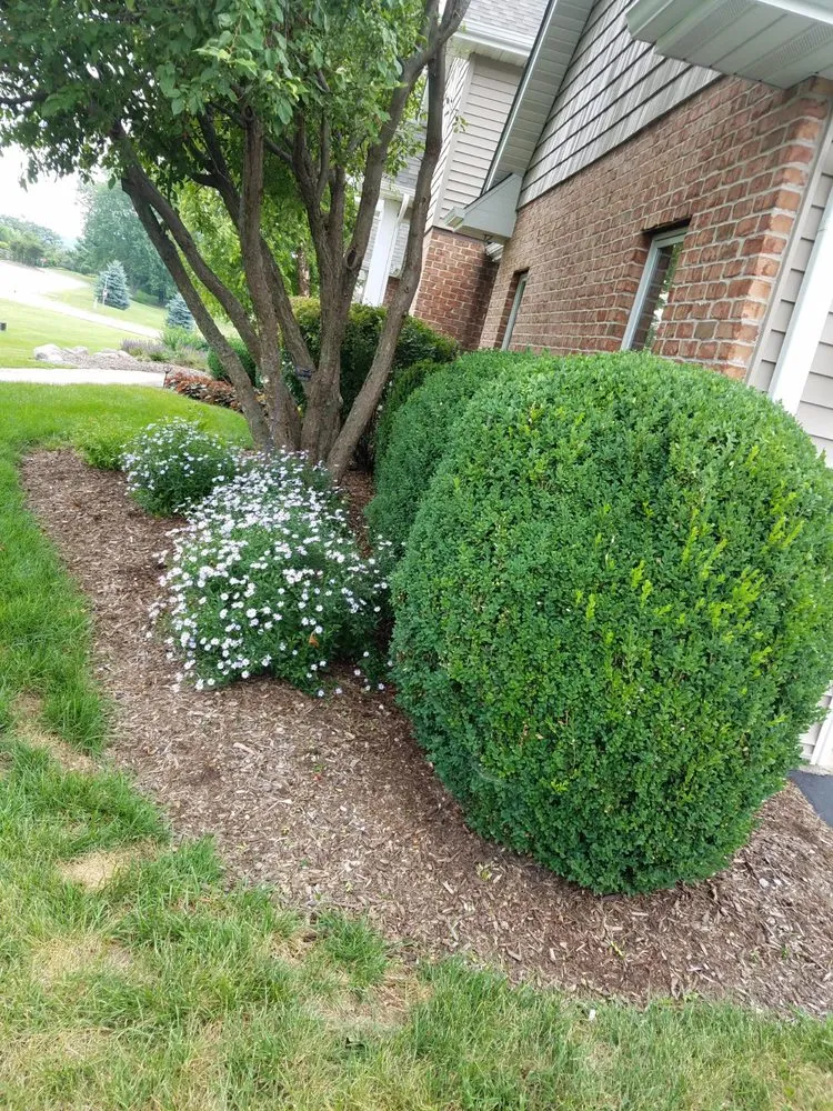 Top-rated landscape design for beautiful yards across Rockford, IL - Forest City Lawn Care