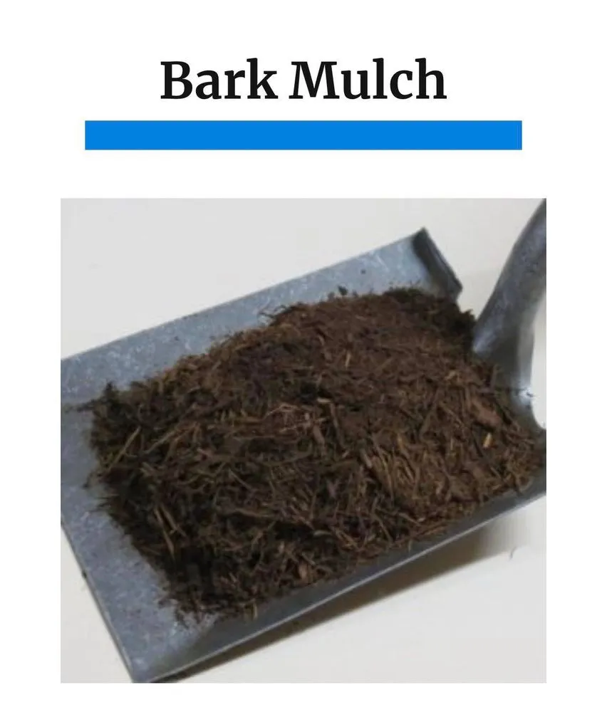 Top-rated outdoor landscaping with custom design across Martinsville, IN - Forest Commodities