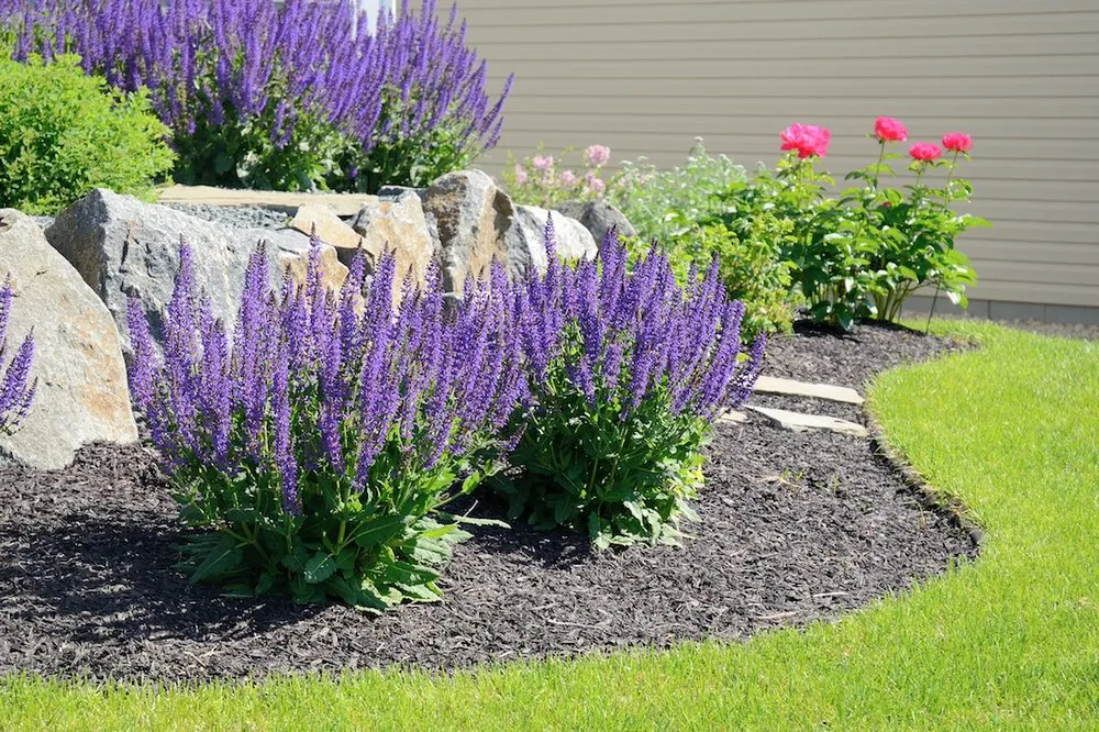 Reliable garden landscaping for beautiful yards across Mooresville, IN - Forest Commodities