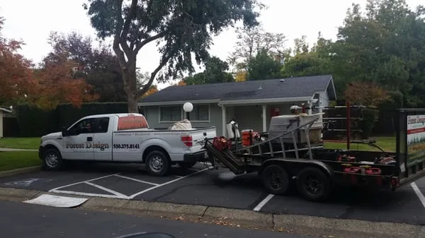 Forest Design Landscaping