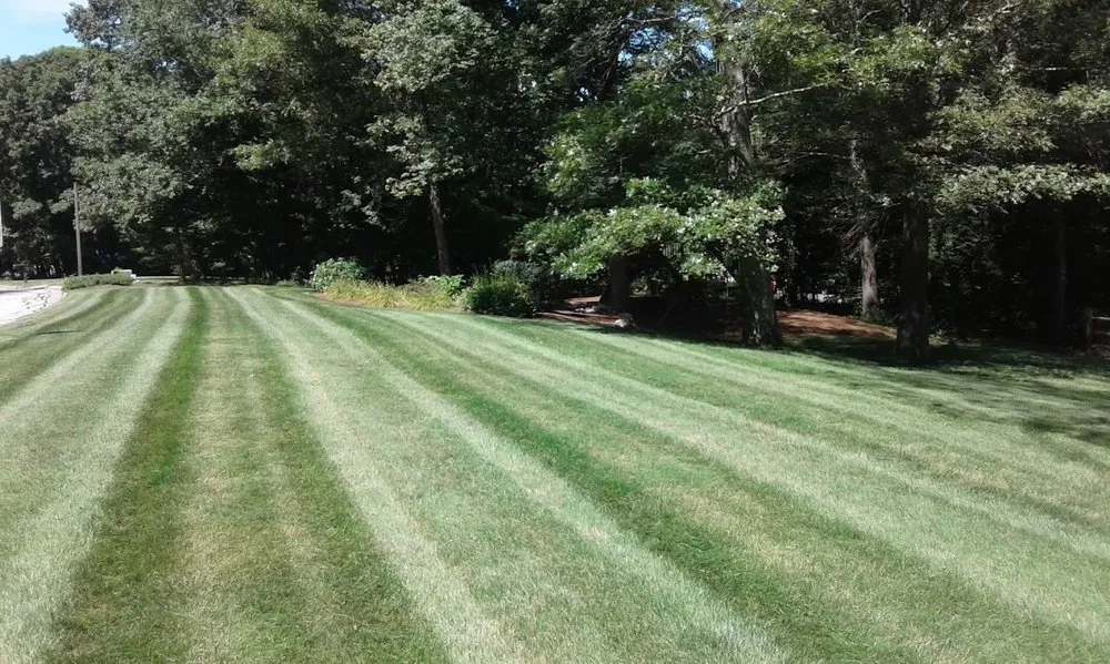 Local garden landscaping experts serving Sterling, CT - Forest Edge Landscaping