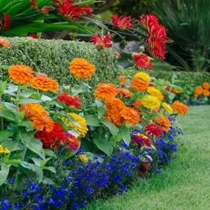 Reliable lawn mowing service experts serving Sterling, CT - Forest Edge Landscaping