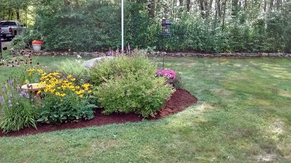 Affordable lawn care service experts serving Sterling, CT - Forest Edge Landscaping