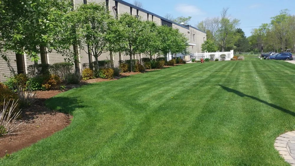 Reliable yard cleanup service experts serving Sterling, CT - Forest Edge Landscaping