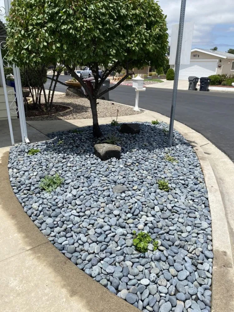 Trusted landscape installation in Murrieta, CA - Forest Fall Landscape