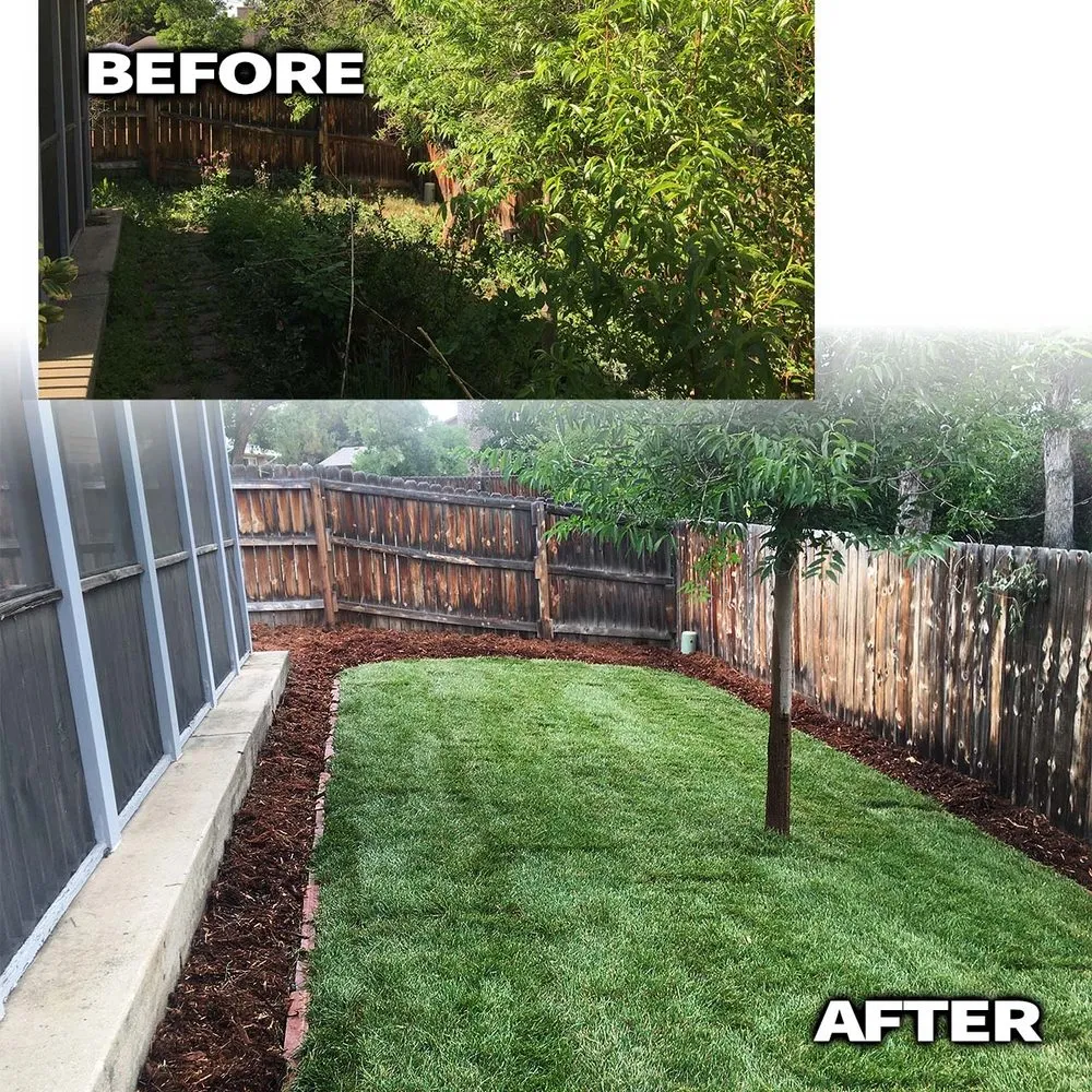 Affordable residential landscaping in Santa Rosa, CA by Forest Green Landscape