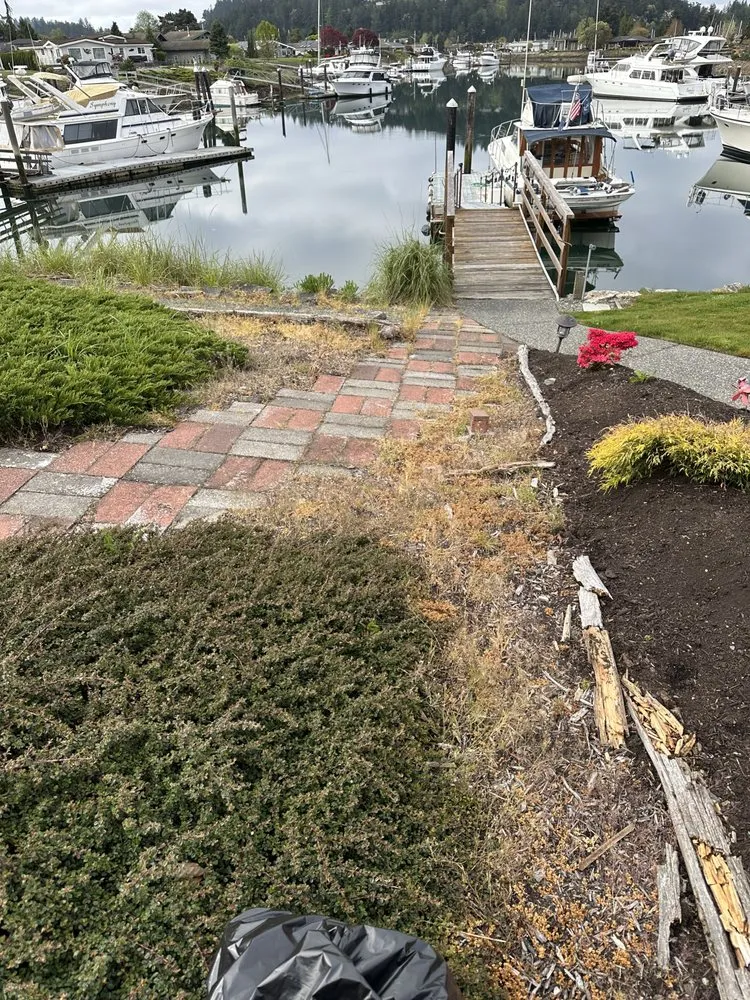 Top-rated yard maintenance for year-round maintenance in Sedro-Woolley, WA by Forest Green Landscape