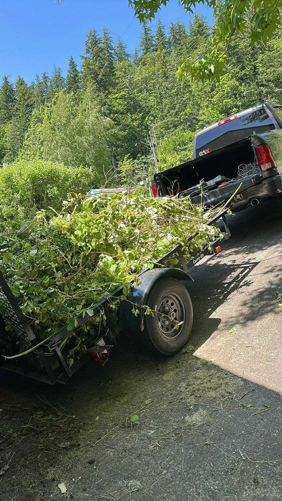 Reliable landscape design experts serving Sedro-Woolley, WA - Forest Green Landscape