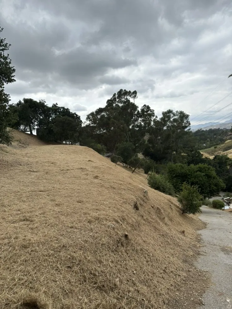 Expert outdoor landscaping for residential properties across Sun Valley, CA - Forest Green Landscaping