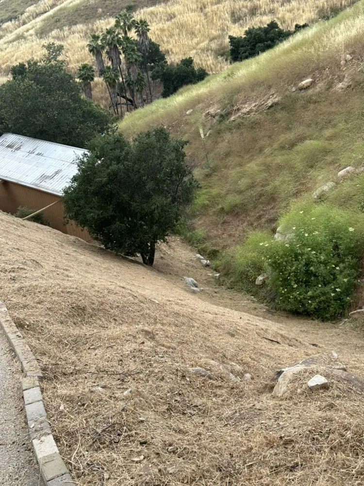 Trusted lawn care service in Sun Valley, CA by Forest Green Landscaping