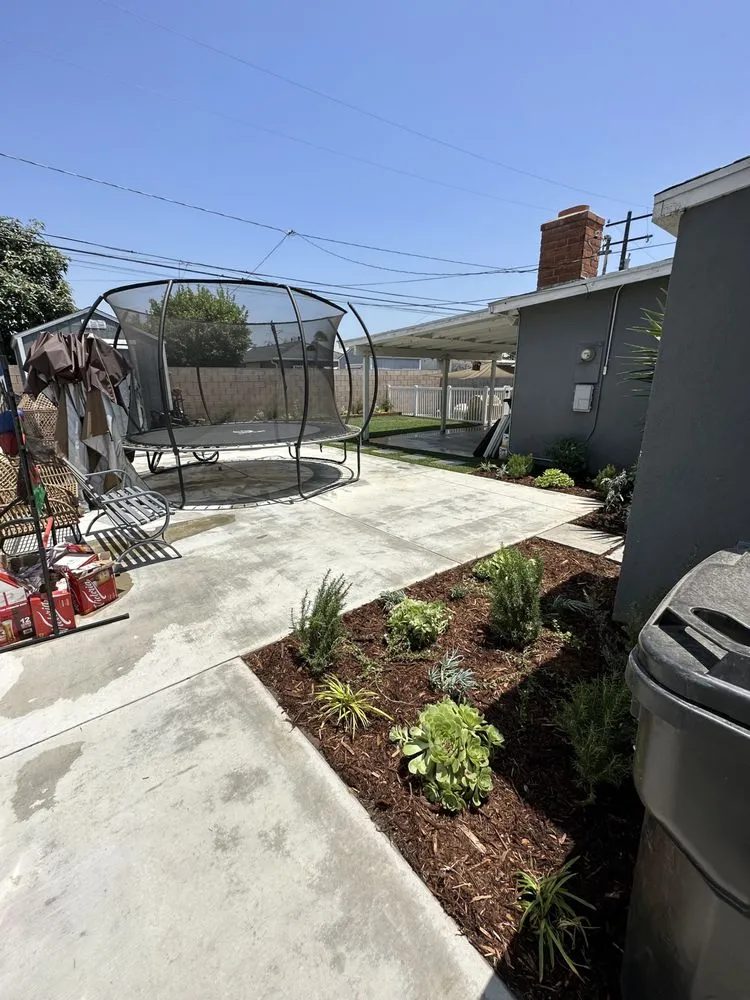 Professional garden landscaping in Sun Valley, CA - Forest Green Landscaping