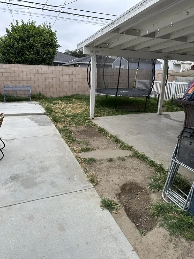 Affordable garden landscaping with custom design in Sun Valley, CA by Forest Green Landscaping