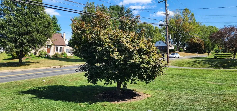 Trusted lawn mowing service in Columbia, PA - Forest Green Lawn Care